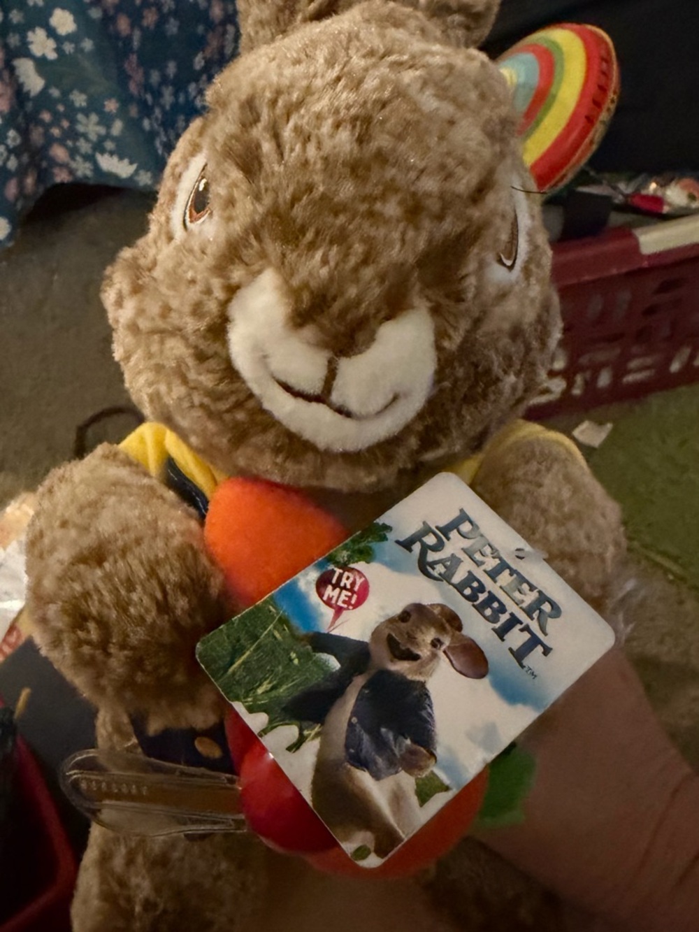 Peter Rabbit animated toy with music and light up words